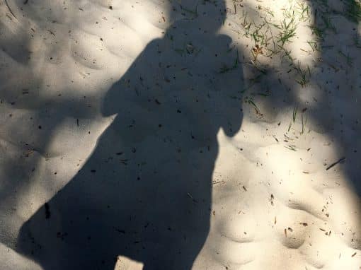 Sieben Fakten über Bisexualität
