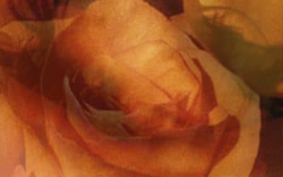 What is Tantra?