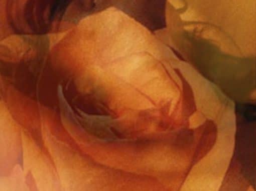 Il Tantra? Che cosa è?
