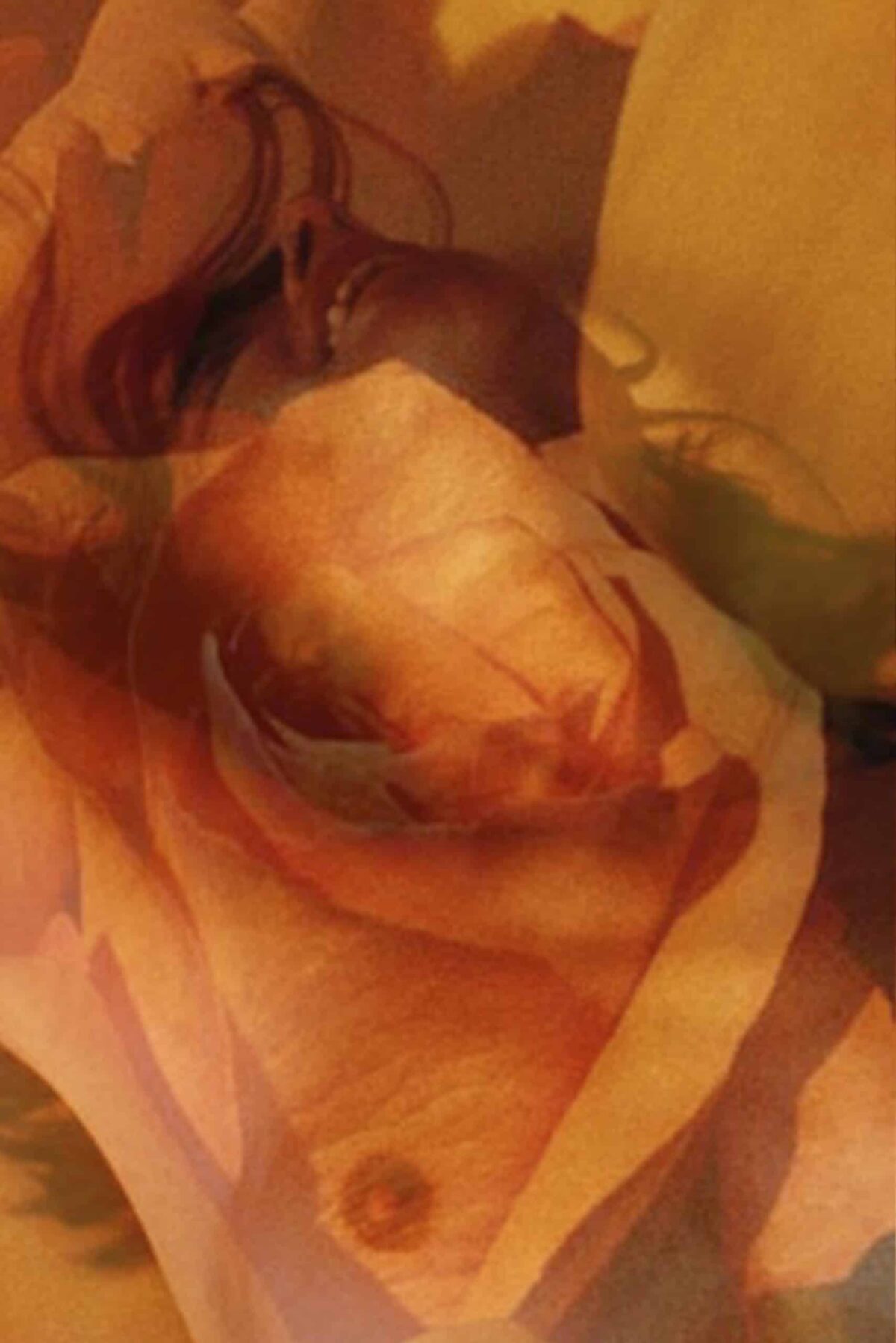 Was ist Tantra? SoHam Institut Hamburg